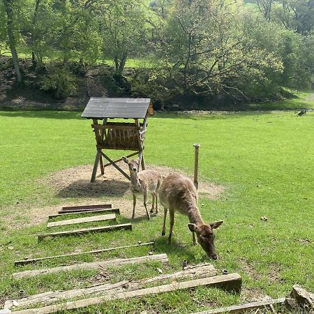 Ferienwohnung Künstlerhaus Rehblick Rockeskyll Exterior foto