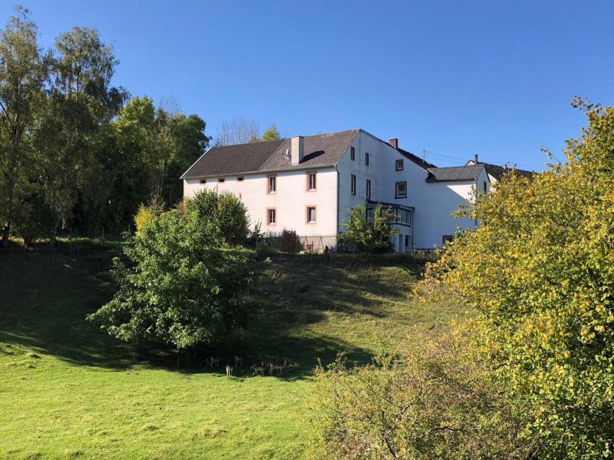 Ferienwohnung Künstlerhaus Rehblick Rockeskyll Exterior foto
