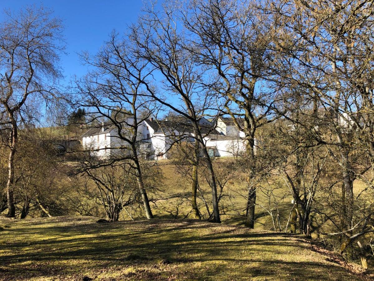 Ferienwohnung Künstlerhaus Rehblick Rockeskyll Exterior foto