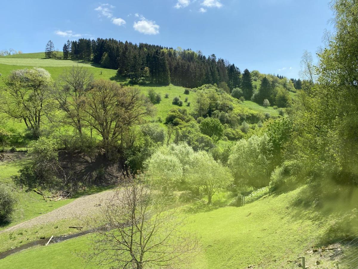 Ferienwohnung Künstlerhaus Rehblick Rockeskyll Exterior foto