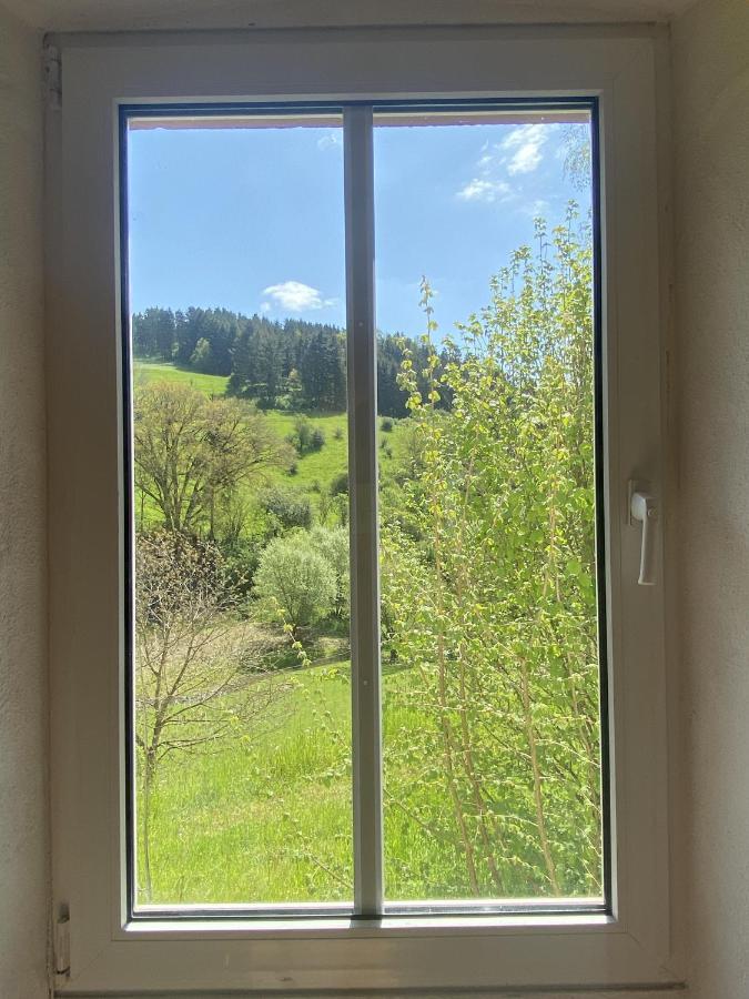Ferienwohnung Künstlerhaus Rehblick Rockeskyll Exterior foto